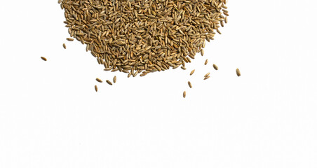 Grains of wheat, barley, rye, oats on white background close-up. Natural dry grain in form of semicircle with scattered seeds in the middle isolated top view. Free space for text. Banner for web site