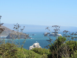 Route 1 from Bodega Bay to Hardy Creek