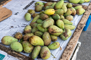 green mangoes lying on a market counter. Exotic fruits of Asia