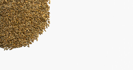 Grains of wheat, barley, rye, oats on white background close-up, natural dry grain in form of even semicircle in the right side, seeds, isolated, top view. Free space for text. Banner for web site