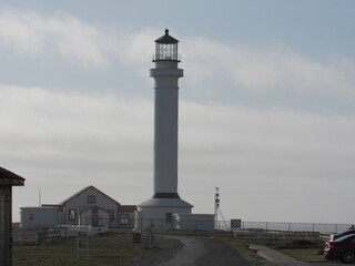 Route 1 from Bodega Bay to Hardy Creek