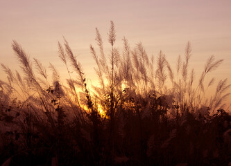 Fototapeta premium Bright orange and yellow colors sunset sky