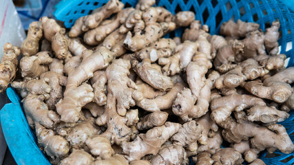 wholesale ginger to the world markets. Ginger - the most useful supplement for strengthening immunity