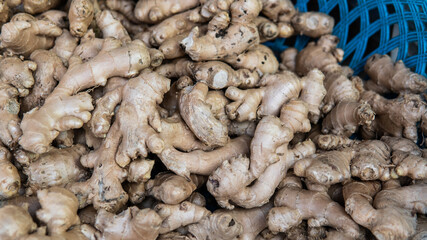 wholesale ginger to the world markets. Ginger - the most useful supplement for strengthening immunity