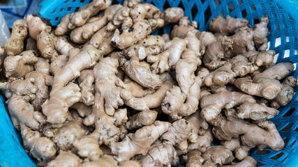 wholesale ginger to the world markets. Ginger - the most useful supplement for strengthening immunity