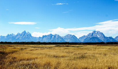 autumn landscape of Grand Teton