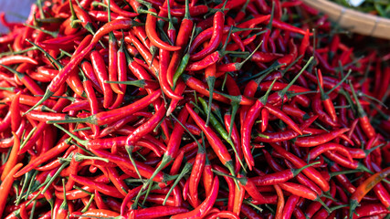 Fototapeta premium red and green hot peppers for cooking. The most fiery pepper from Asia