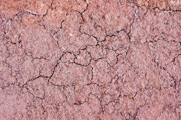 Dry cracked ground  the frame as background