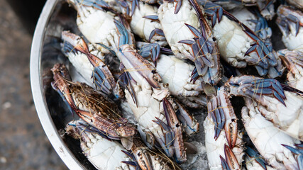 selling seafood in Asian markets. Sea crabs and a variety of fish for sale