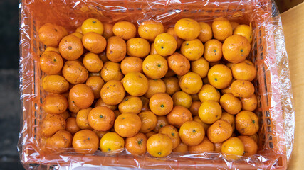 .selling Asian oranges in the fruit markets.