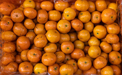 .selling Asian oranges in the fruit markets.