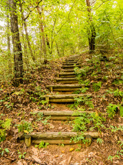 Stairway in a mountain park