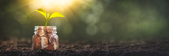Plant Growing Out Of Jar Of Coins In Garden Soil - Business Investment Concept