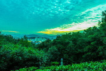 City lights from wooded mountain top at night