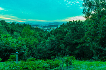 City lights from wooded mountain top at night