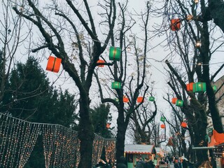 Gifts hanging from the trees