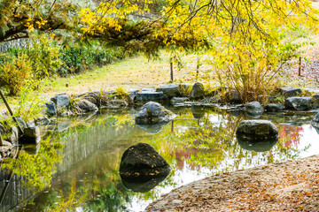 Small man made pond in a public park in Daejeon, South Korea