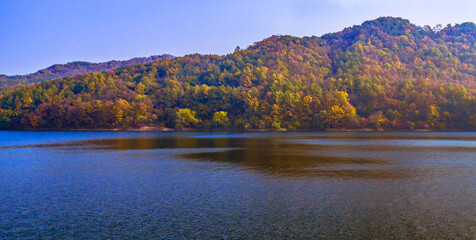 Lake with distant shore covered with lush foliage