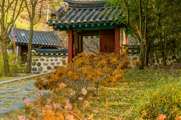 Wooded oriental gate with tiled roof