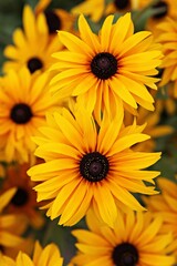 한국 경기도 시흥시 관곡지 입니다