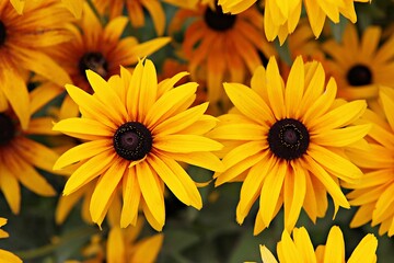 한국 경기도 시흥시 관곡지 입니다