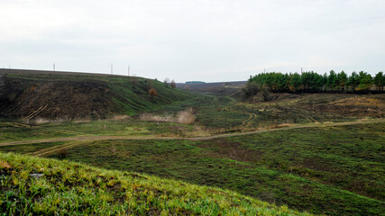 Natural landscape, forests and fields. Fresh green grass grows on burnt-out fields in spring.