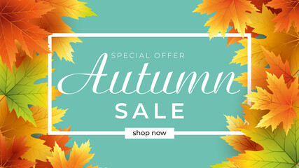 Autumn sale background layout decorate with leaves for shopping sale or promo poster and frame leaflet or web banner.Vector illustration template.