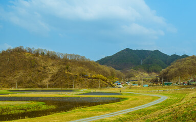 Pond near rural farming community