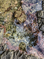 Ohope walk along coast to otarawairere bay near Whakatane