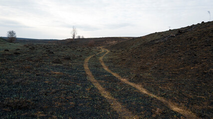 A dirt road on a burnt-out field, natural spring landscape.