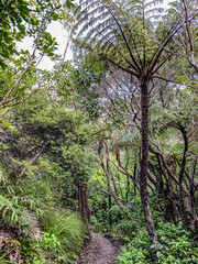Naklejka premium Nga Tapuwae o Toi, or the 'Footprints of Toi', is a walking trail between Whakatane and Ohope in New Zealand