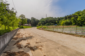 Concrete road next to small fenced field leading to a countryside park with ceramic tiled buildings in background.