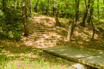 Stairway in a mountain park