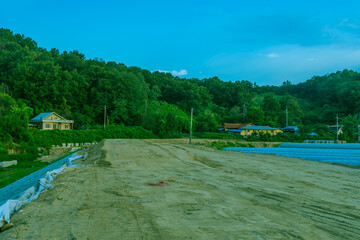 Dirt road in rural community