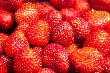 Lots of strawberry view from above, use as background or texture
