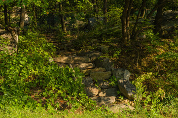 Stone steps up to a dirt path