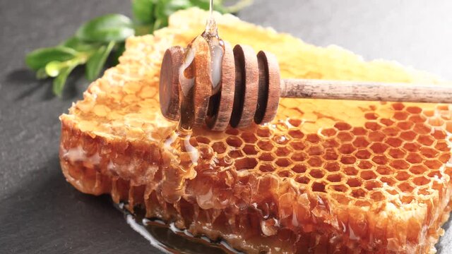 Sweet bee honey slowly flows down the honeycomb 