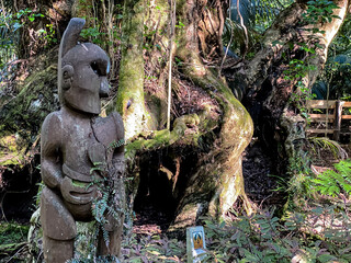 Hukutaia Domain ranks as one of Opotiki's main attractions. It is a 5 hectare remnant of extensive native forest with a Pururi tree important to Maori.