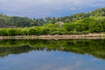 Fototapeta na wymiar Shoreline reflecting in water