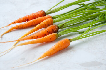 A bunch of young carrots with tops on the table