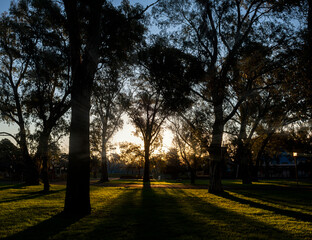 tarde soleada en el paruqe