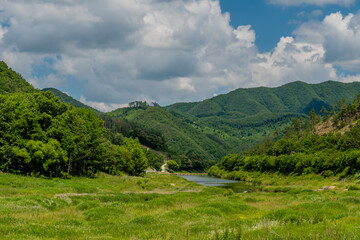 Fototapeta premium Lush green river valley