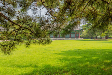 Fototapeta na wymiar Oriental style building behind tree branches.