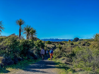 Motu Trail Cycle Way on the eastern Bay of Plenty/Eastland region of New Zealand, Opotiki.