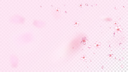 Nice Sakura Blossom Isolated Vector. Tender Showering 3d Petals Wedding Design. Japanese Beauty Spa Flowers Wallpaper. Valentine, Mother's Day Beautiful Nice Sakura Blossom Isolated on Rose