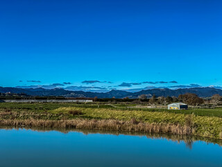 Fototapeta na wymiar Motu Trail Cycle Way on the eastern Bay of Plenty/Eastland region of New Zealand, Opotiki.