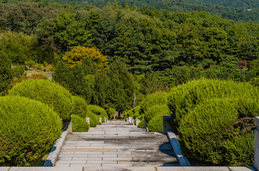 Stairway down mountainside