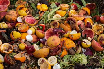 basura orgánica 