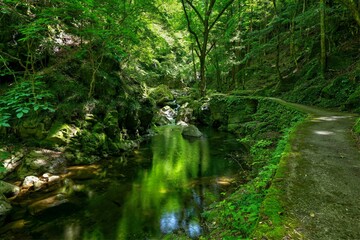 新緑映す赤目四十八滝渓流の情景＠三重