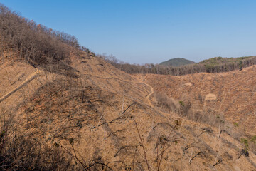 Logging and deforestation of mountainside.